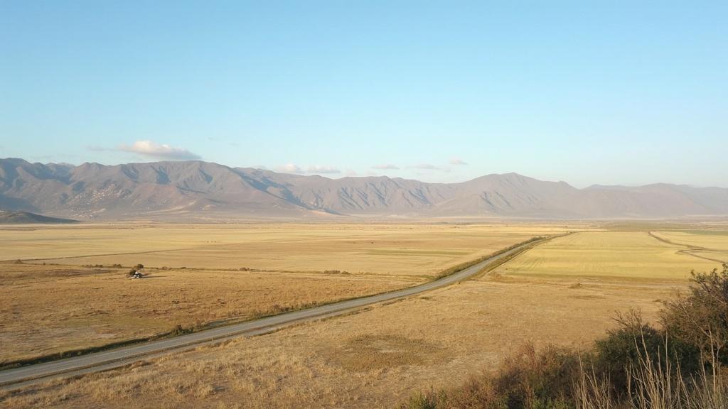 2025 땅매매 트렌드와 성공을 위한 필수 전략 공개