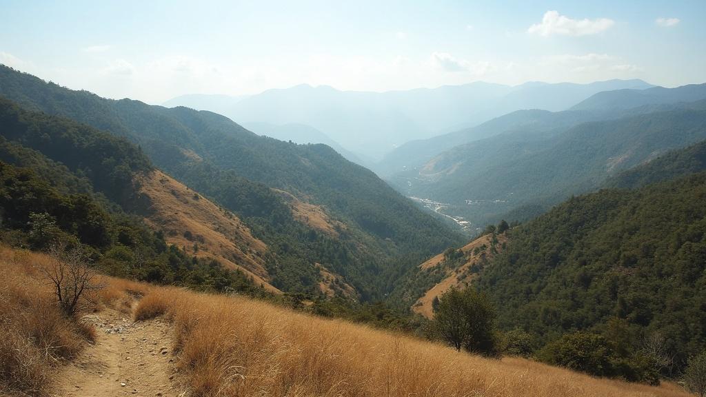 소형 임야 매물의 매력적인 투자 기회와 유망 지역