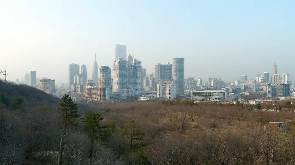 실거래가 조회로 알아보는 부동산 투자 성공 비법